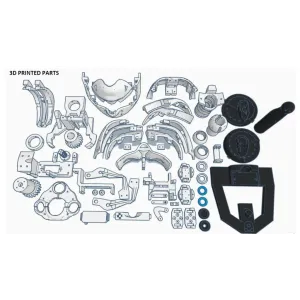 parts of the body parts of the body