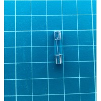 Glass Fuse 10A 250V (T5x20mm)