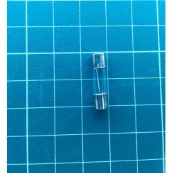 Glass Fuse 10A 250V T5x20mm