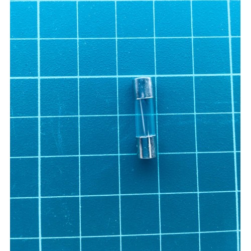 Glass Fuse 1A 250V (T5x20mm)