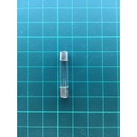 Glass Fuse 1A – 250V (Size T6x30mm)