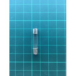 Glass Fuse 1A  250V Size T6x30mm